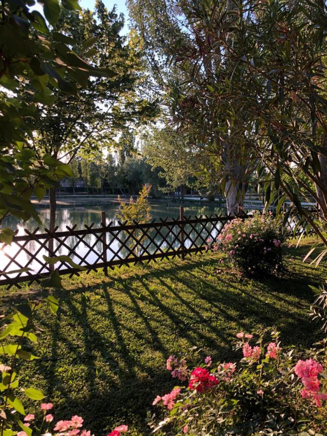 Chalet B&B Laghetti Martina Crevalcore Ngoại thất bức ảnh
