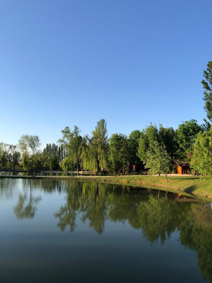 Chalet B&B Laghetti Martina Crevalcore Ngoại thất bức ảnh
